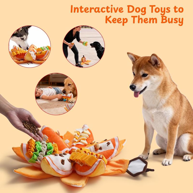 Pumpkin Dog Enrichment Toy